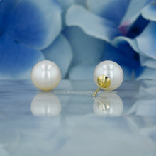 Load image into Gallery viewer, 14k Solid Gold Genuine Fresh Water Pearl Earrings
